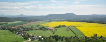 Substanzsteuern und Grundsteuern berechnen
