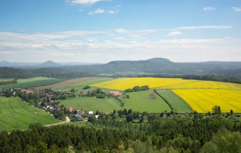 Substanzsteuern und Grundsteuern berechnen