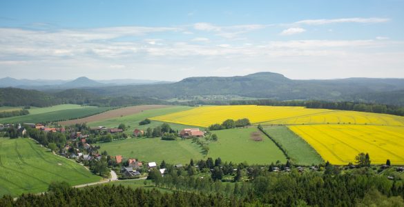 Substanzsteuern und Grundsteuern berechnen