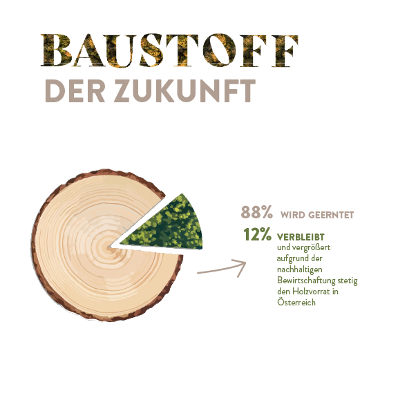 Baustoff der Zukunft ist das Holz